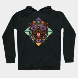 Retro Sci-fi Pug Dog Hoodie